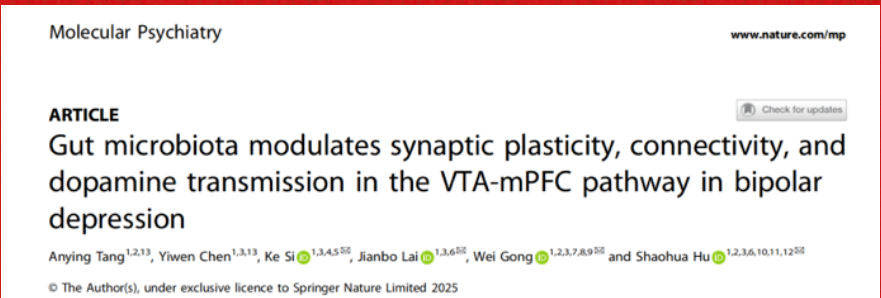 1772519981975887.png image.png